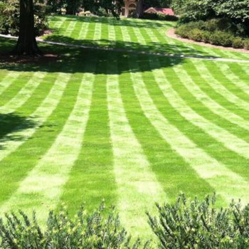 Steps & Stair Solutions