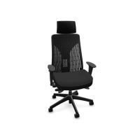 Office Master Truly Executive Chair, With Headrest