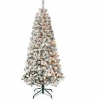 National Tree First Traditions 6' Christmas Tree - Clear - Traditional Style - Christmas Theme