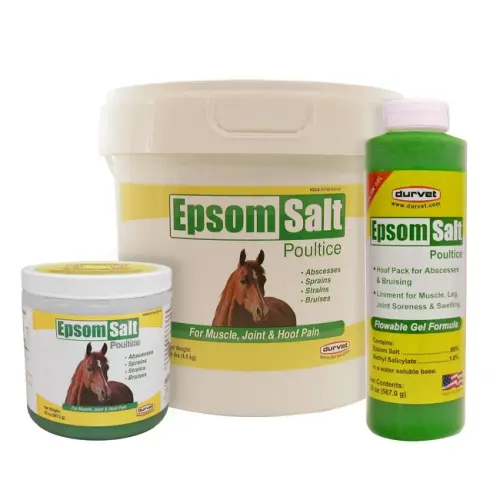 EPSOM SALT POULTICE 20 OZ