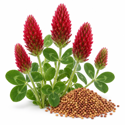 Crimson Clover 50#