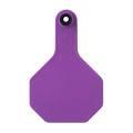 Y-Tex 3 Star Purple Tag Blank
