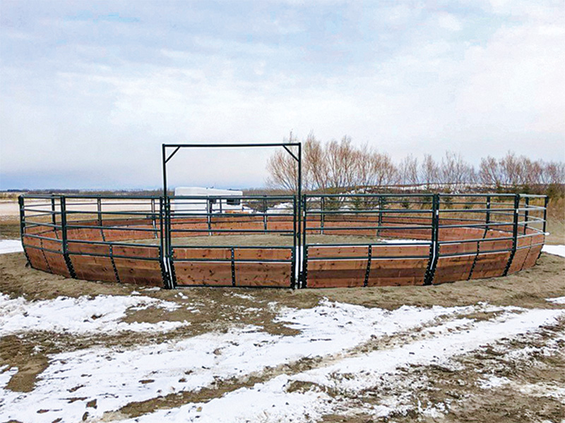EQUINE EQUIPMENT