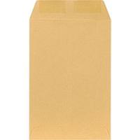 BROWNKRAFT IMPACT CATALOG ENVELOPE 6.5X9.5 28#