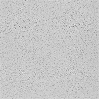 CEILING PNL 2X2X5/8IN RADR SLT