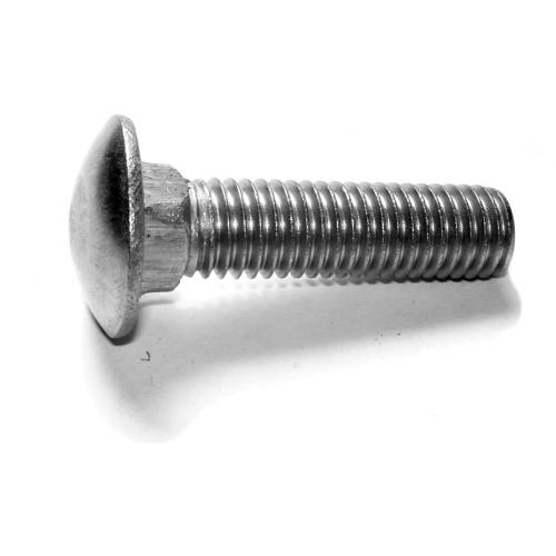 Carriage Bolt Stainless Steel  1/2-13 X 2