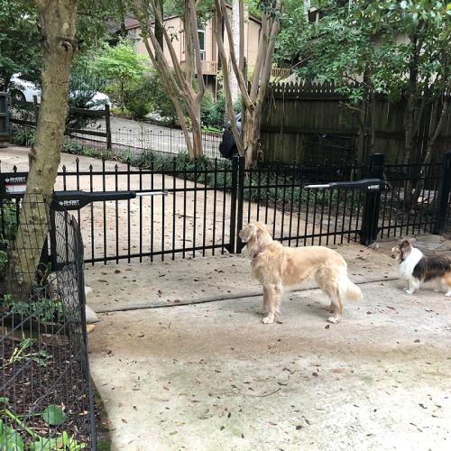 Automatic Gate Opener Kit TDS2 in Use - View #2