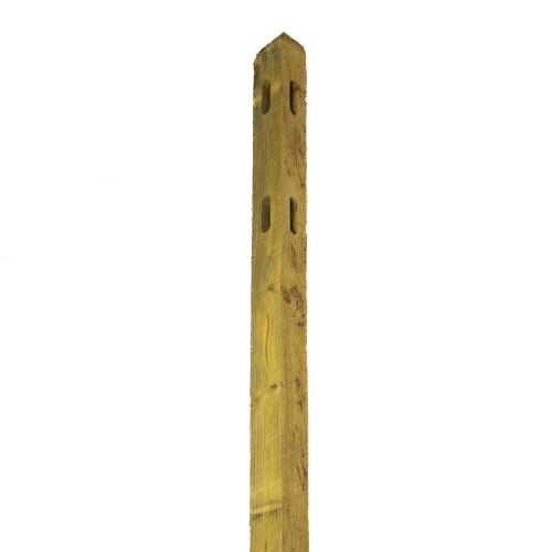 FPRUST-02