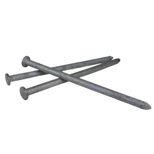 8-in Spike Nails Galvanized  Each Alt #1
