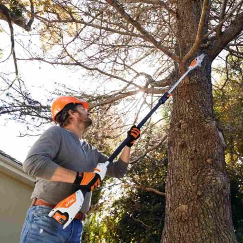 HTA 50 Cordless Pole Pruner Set with AK 20 Battery and AL 101 Charger Alt #1