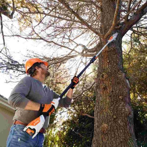 HTA 50 Battery Powered Pole Pruner (Tool Only) Alt #1