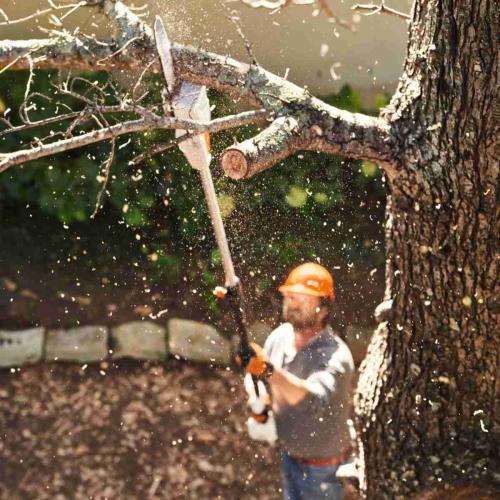 HTA 50 Battery Powered Pole Pruner (Tool Only) Alt #2