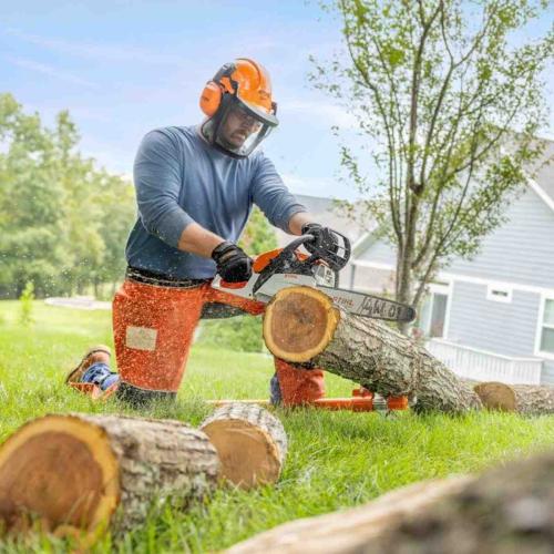 MS 172 C-E 16 in Gas Chainsaw Alt #3