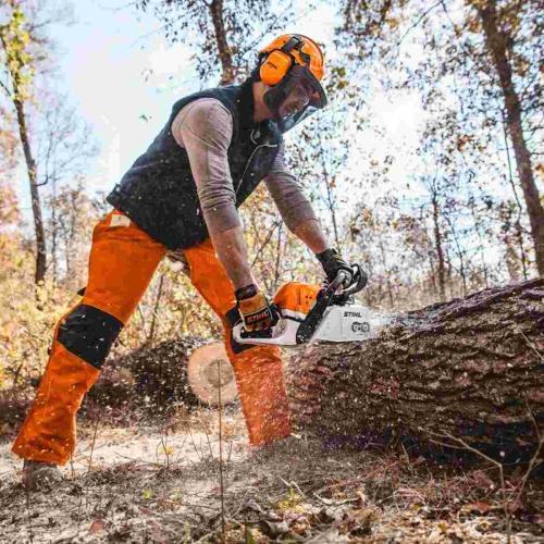 MS 391 25 33RSC38830 Alt #1