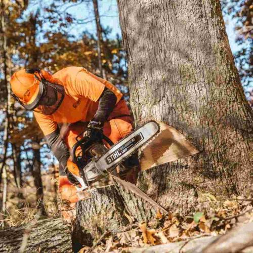 MS500i 20" 33RS 8822 Alt #1