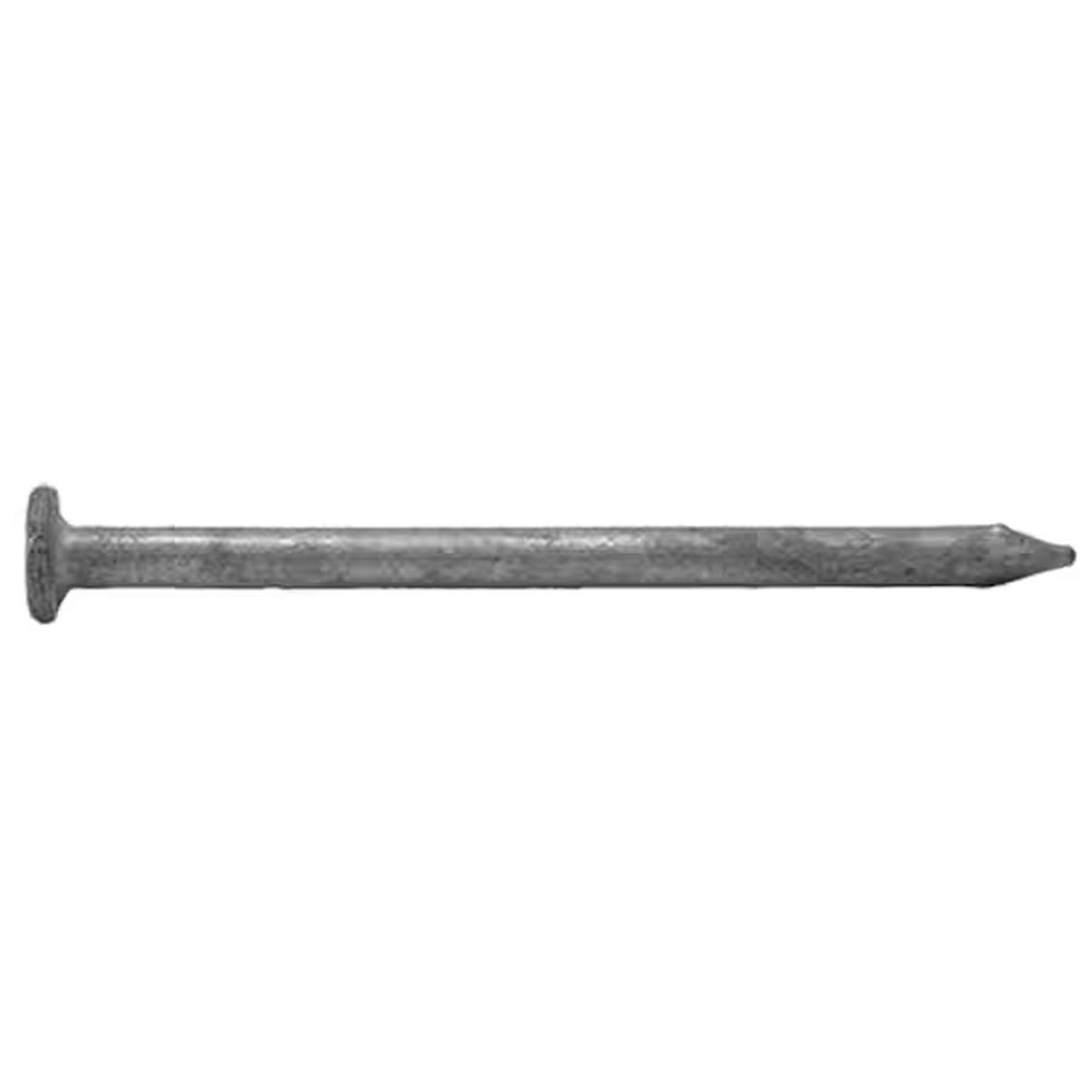 ProFIT 0054208 Common Nail, 20D, 4 in L, Steel, Hot-Dipped Galvanized, Flat Head, Round, Smooth Shank, 1 lb