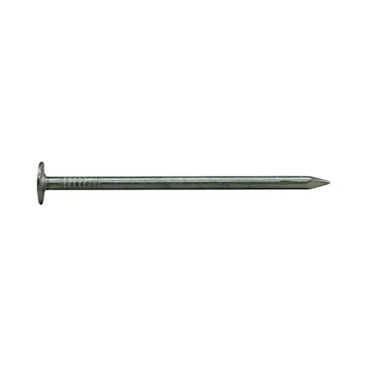 Nail Roofing Eg 2-1/2In 1-lb