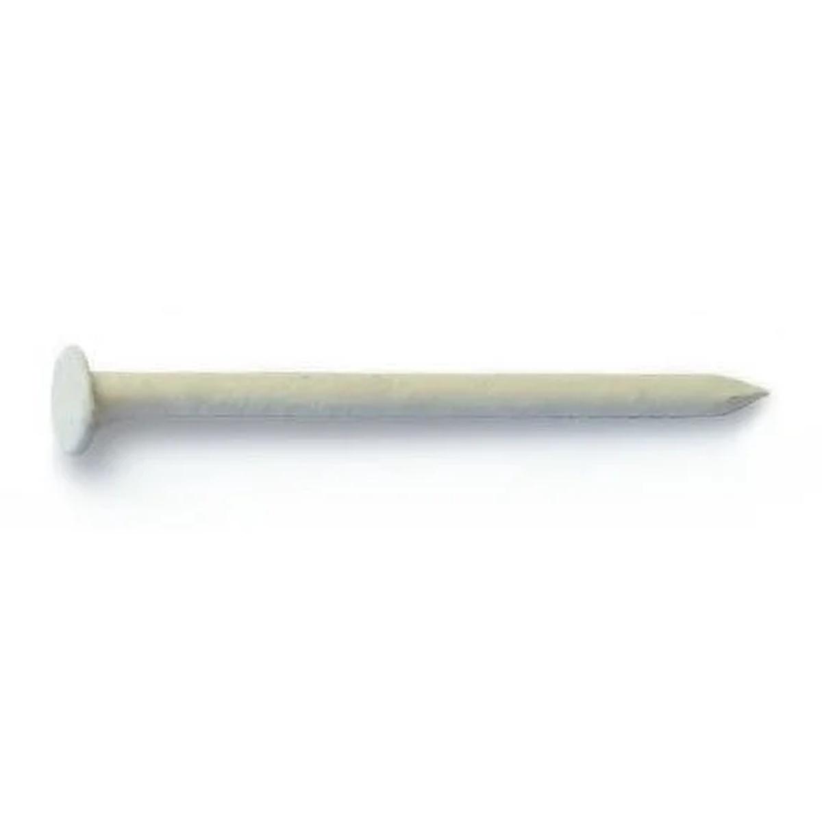 1-1/4 -in 15-in Almond Colored 304 Stainless Steel Trim Flat Head Nails