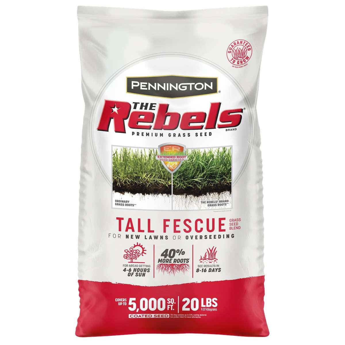 REBEL TALL FESCUE BLEND 20LB