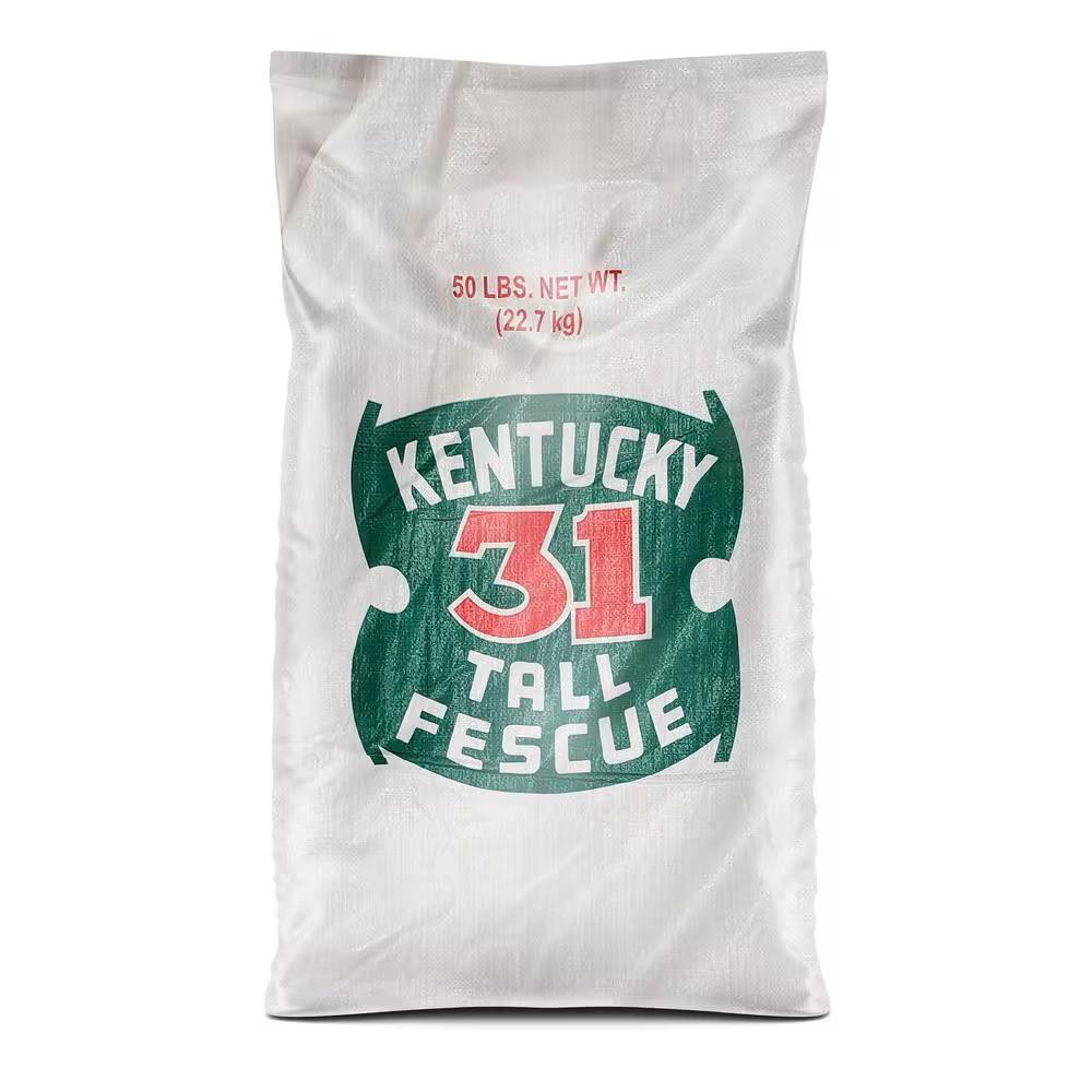 Kentucky 31 Uncoated Tall Fescue Grass Seed 50 lb Bag