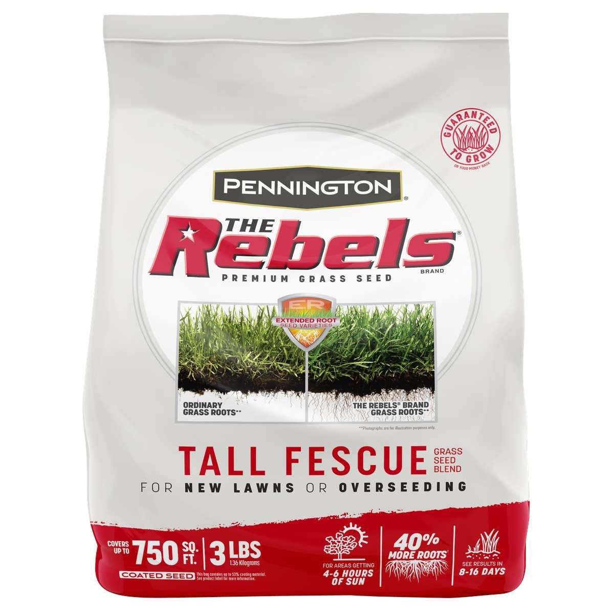 REBEL TALL FESCUE BLEND 3LB