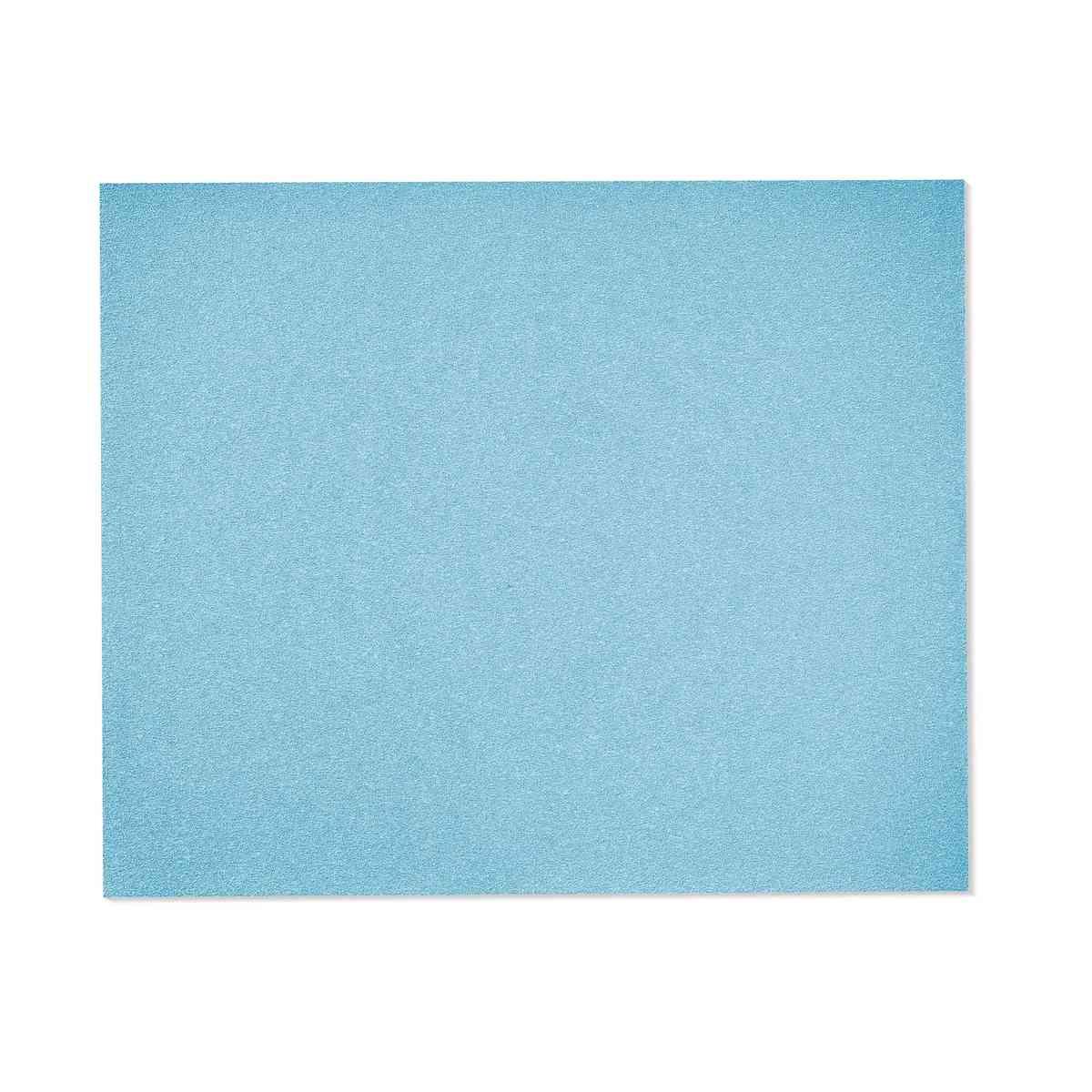Festool Abrasive Paper-P80-10Pk