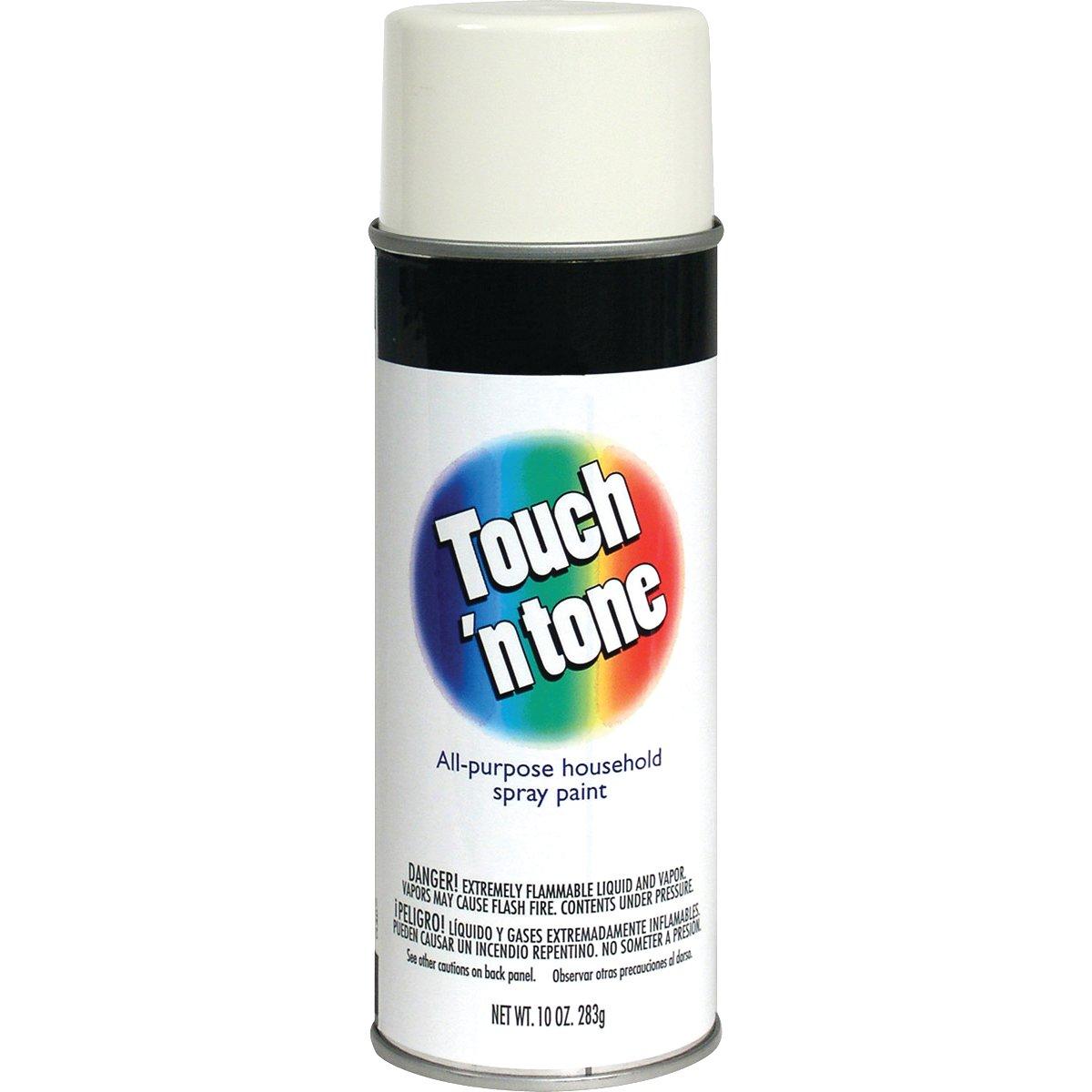 Touch 'N Tone 55274830 General-Purpose Spray Paint, Gloss, White, 10 oz Can