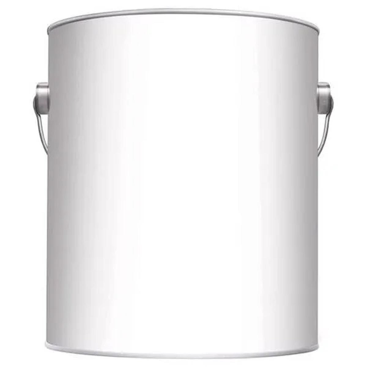 Paint Can (Gallon)
