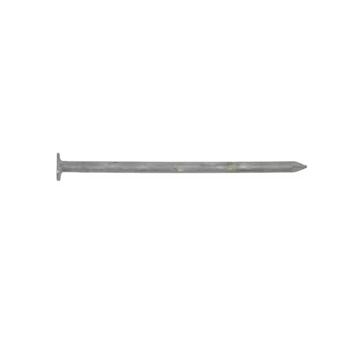 ProFIT 0057155 Box Nail, 8D, 2-1/2 in L, Steel, Hot-Dipped Galvanized, Flat Head, Round, Smooth Shank, 5 lb