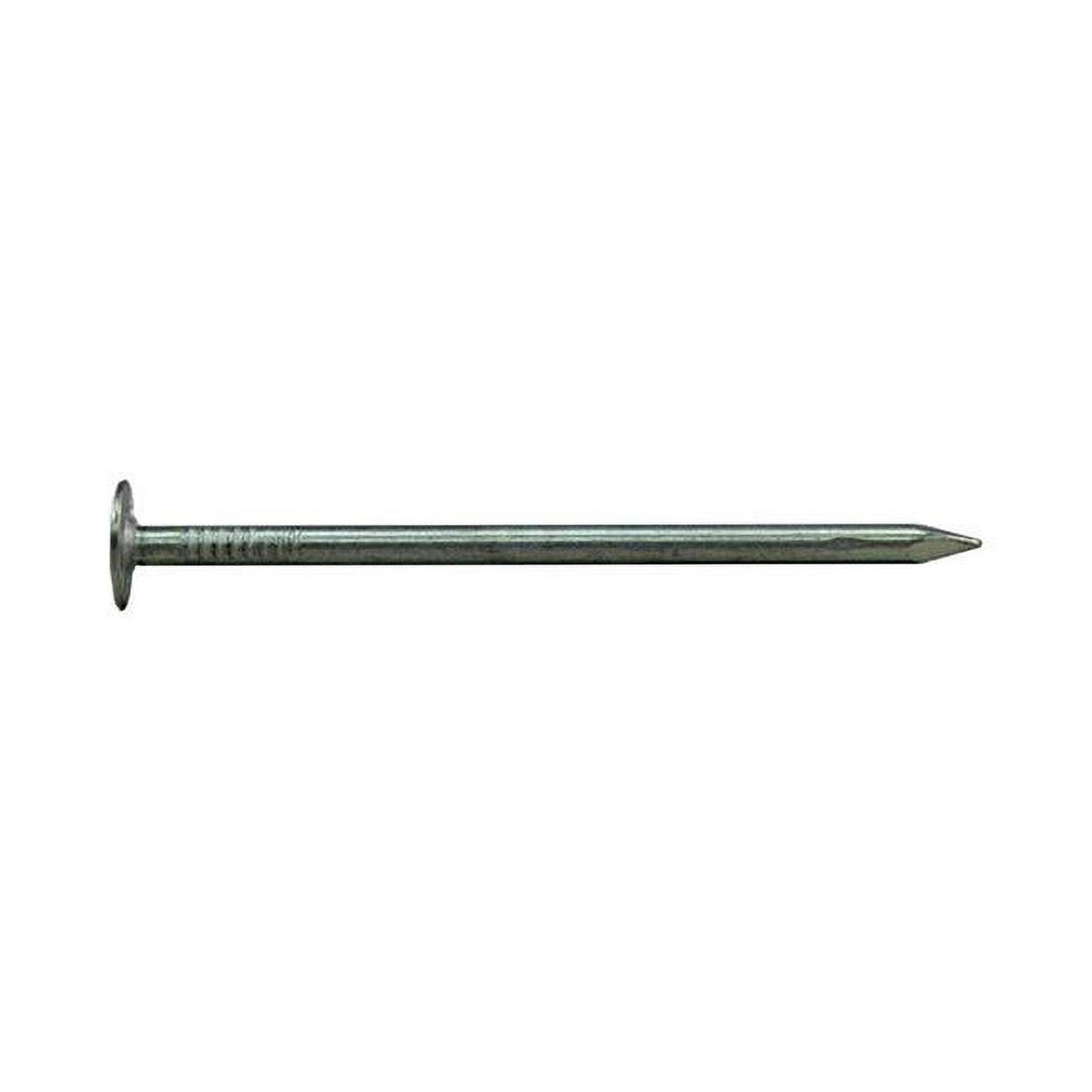 Nail Roofing Eg 3In 25Lb