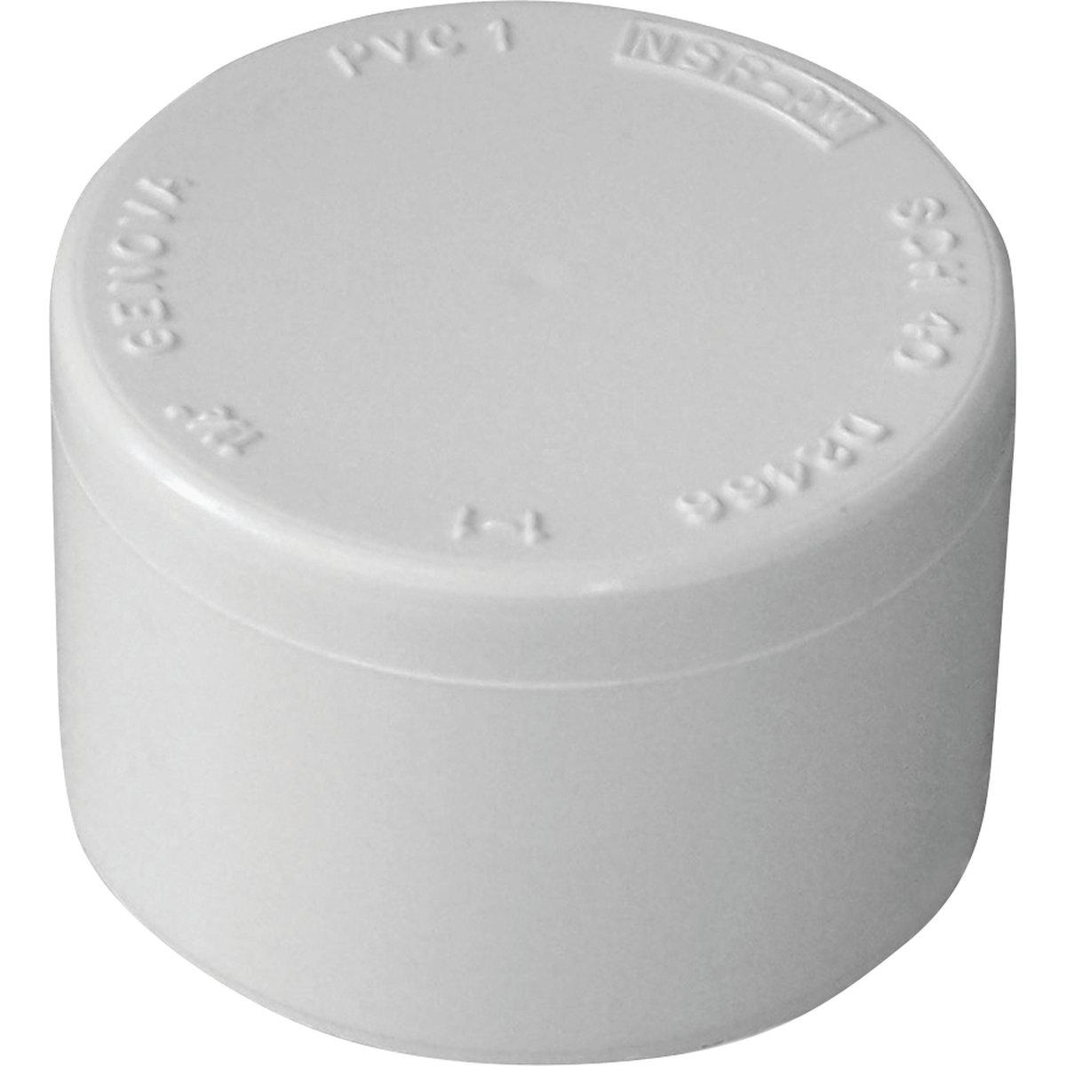 3/4" Pvc Caps     Sch40