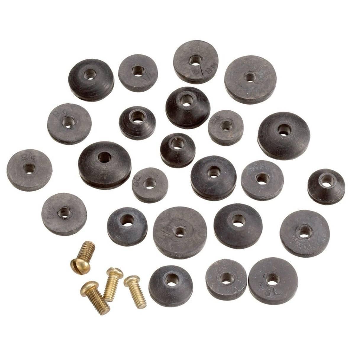 80789 BEVEL WASHER & SCREW ASST
