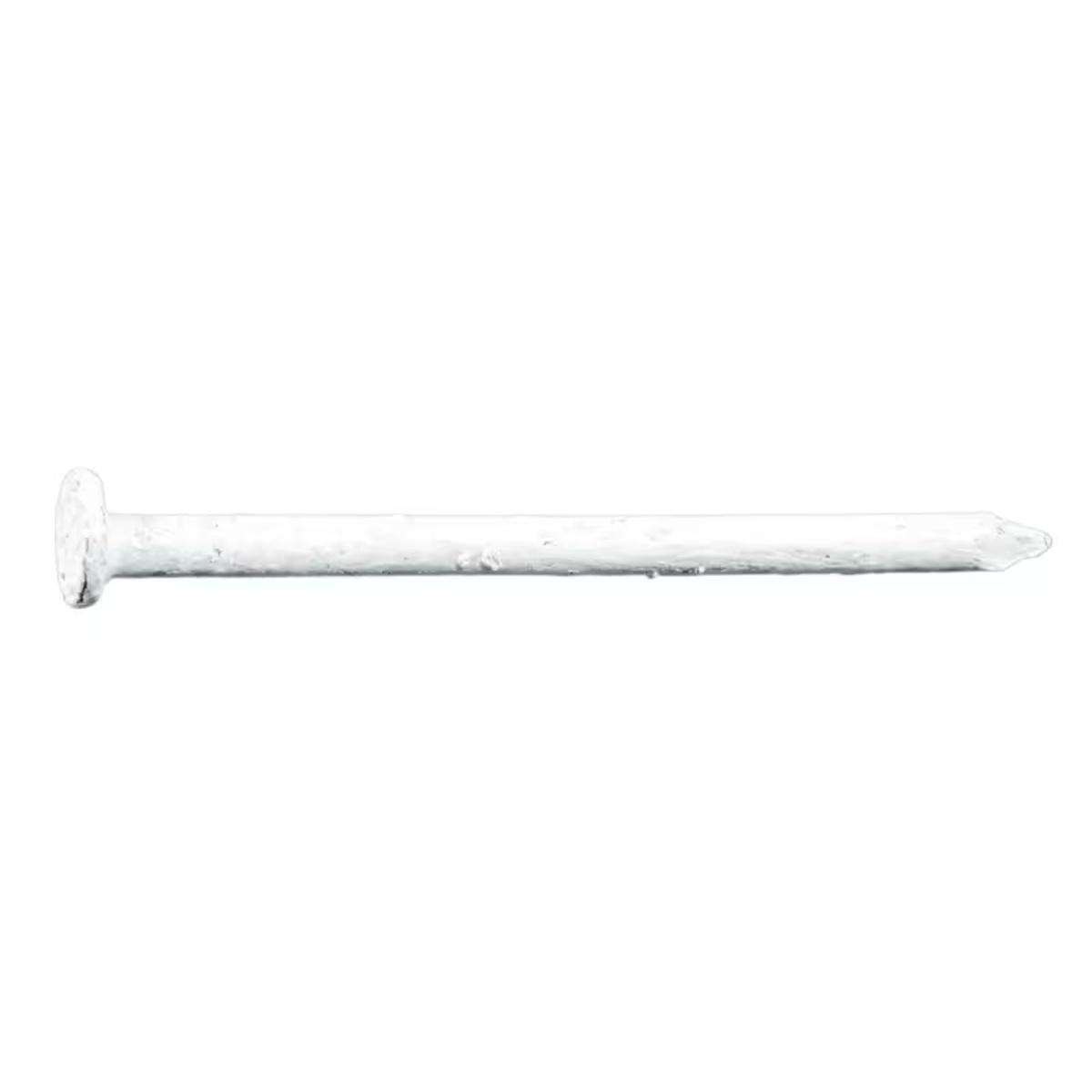 Trim Nail Wht Ss  15Ga X 1-1/4