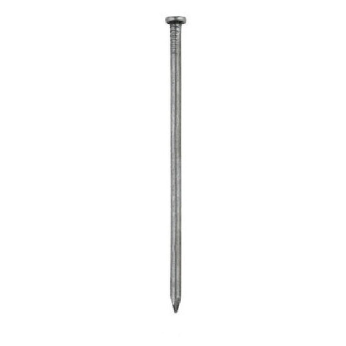 Spike Steel 8" Ea