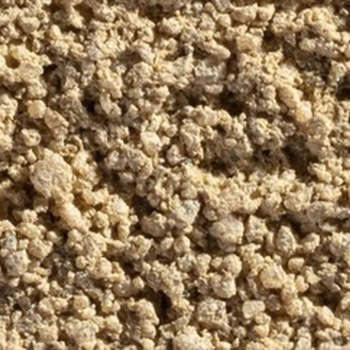 Wr2081 Sawgrass Type N Alt #1