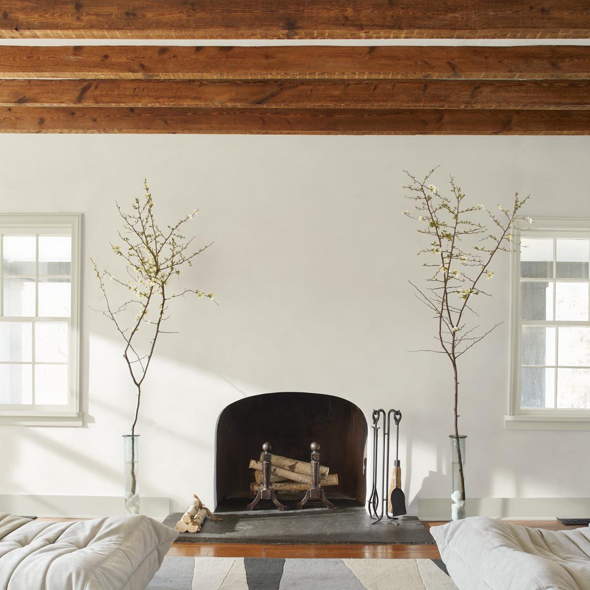 Interior White Matte Livingroom Wall PN54801QT View #2