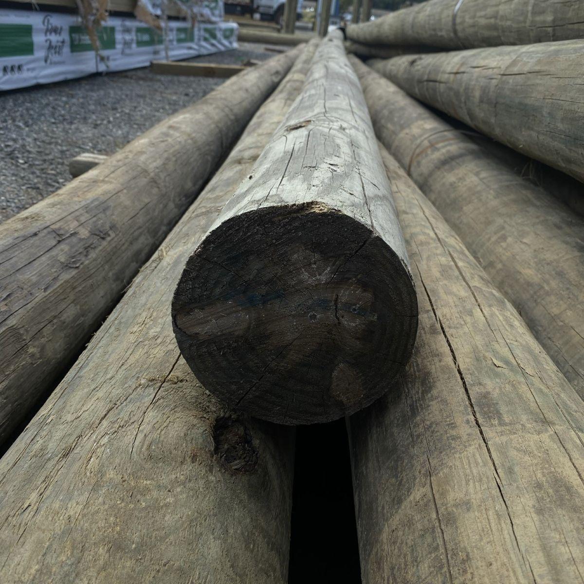 25-ft x 6-7-in Pressure Treated Pole .80CCA