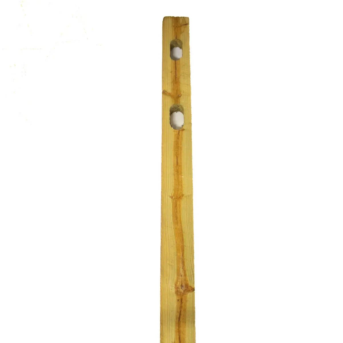 3-in x 6-in x 5-ft Pressure-Treated 2-Hole Split Rail Fence Line Post