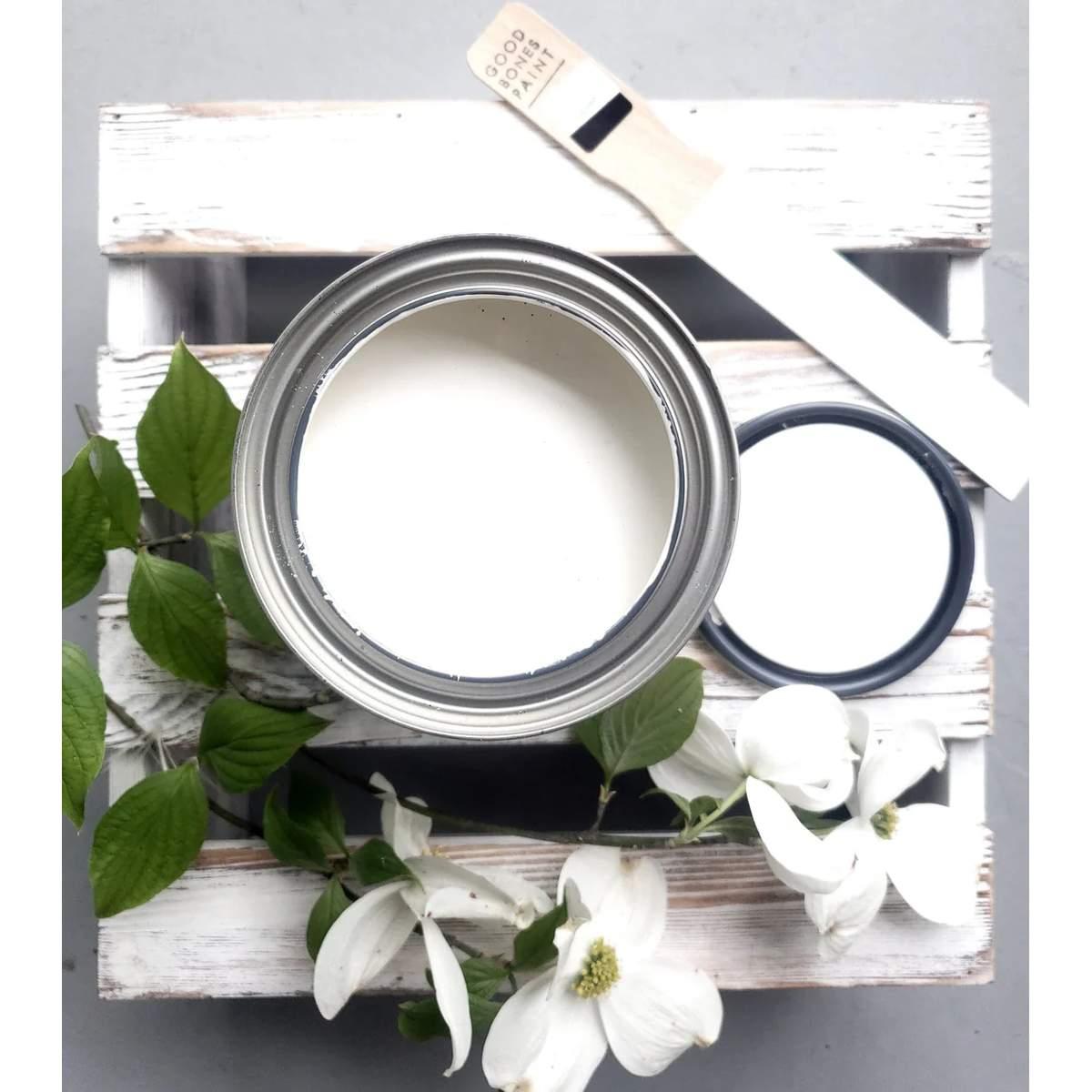 GOOD BONES PAINT BONE Alt #1