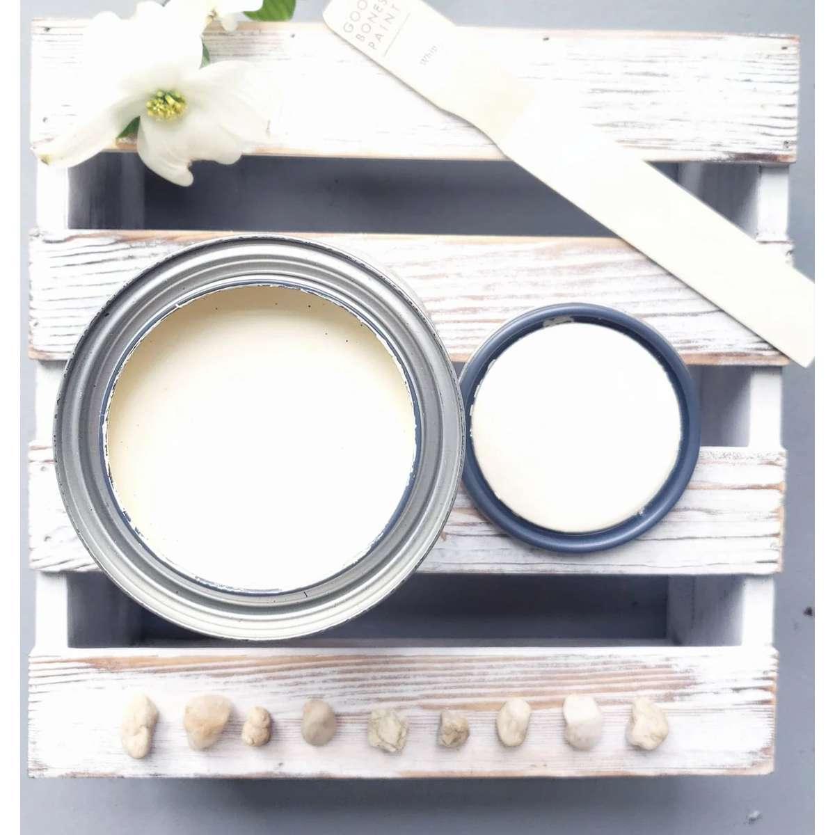 GOOD BONES PAINT WHIP Alt #1