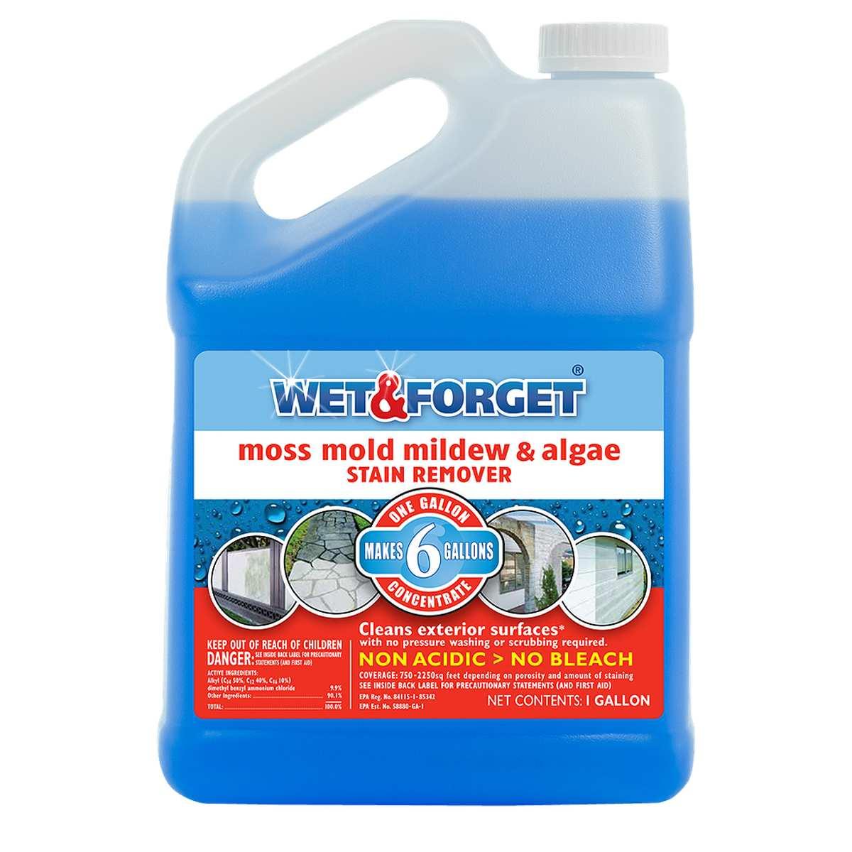 WET & FORGET STAIN REMOVER GAL