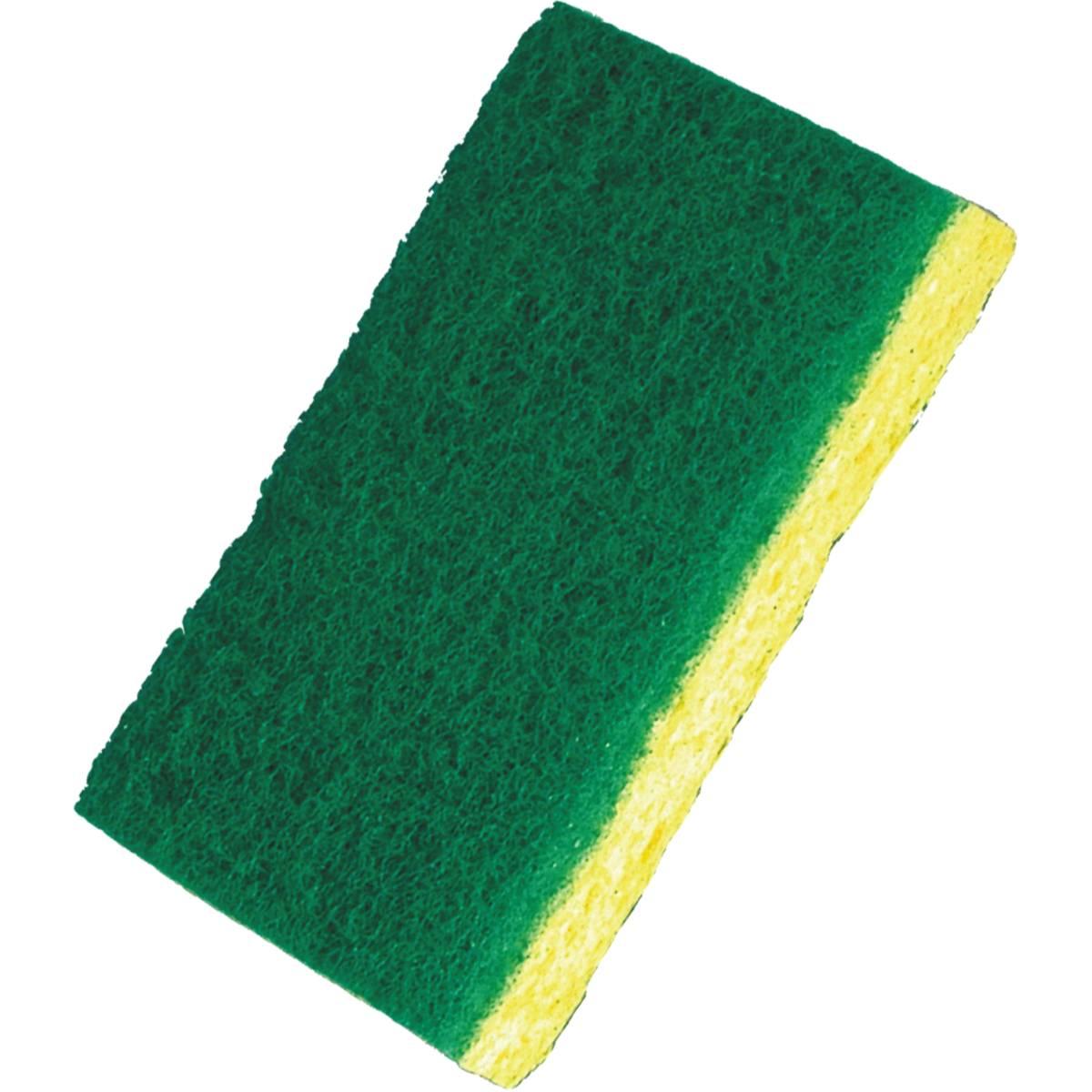Birdwell Scouring Pad