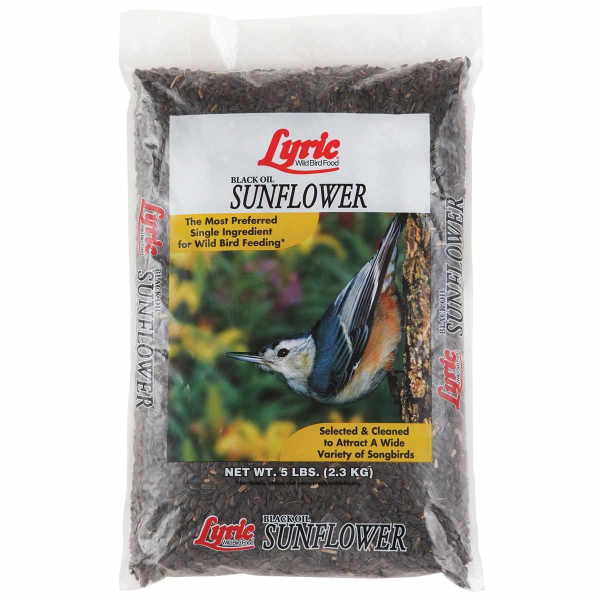 2619082 BLK OIL SUNFLOWER 5LB