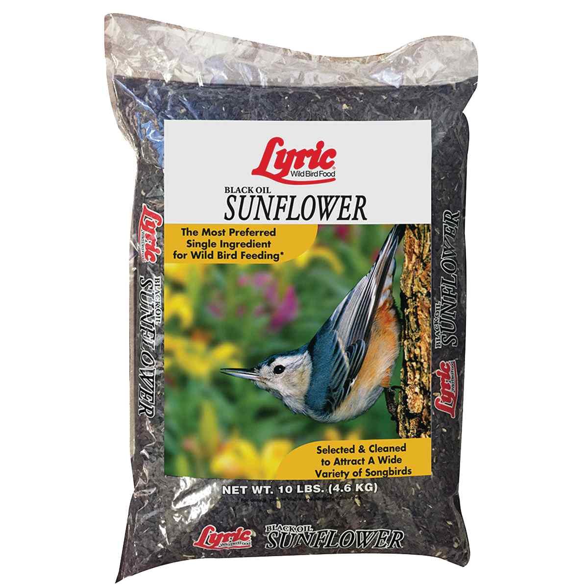 SUNFLOWER SEED 10LB