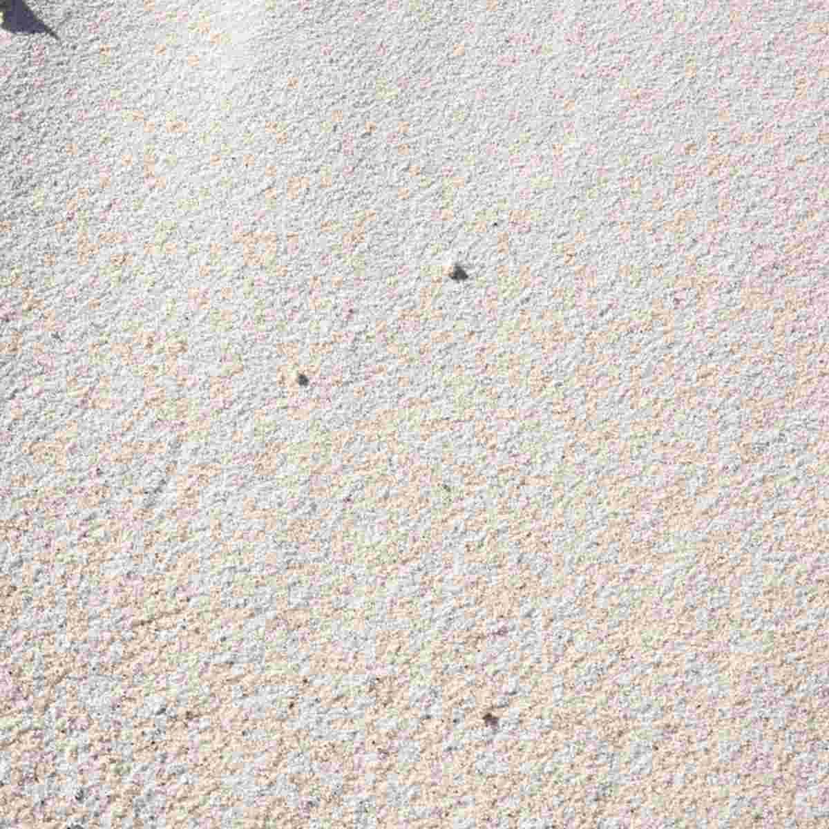 Masonry Sand White (Lbs) Alt #2