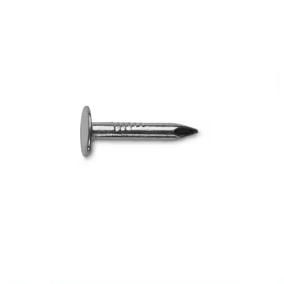 1-in 11 Gauge Electro Galvanized Roofing Nails 1-Lb Box