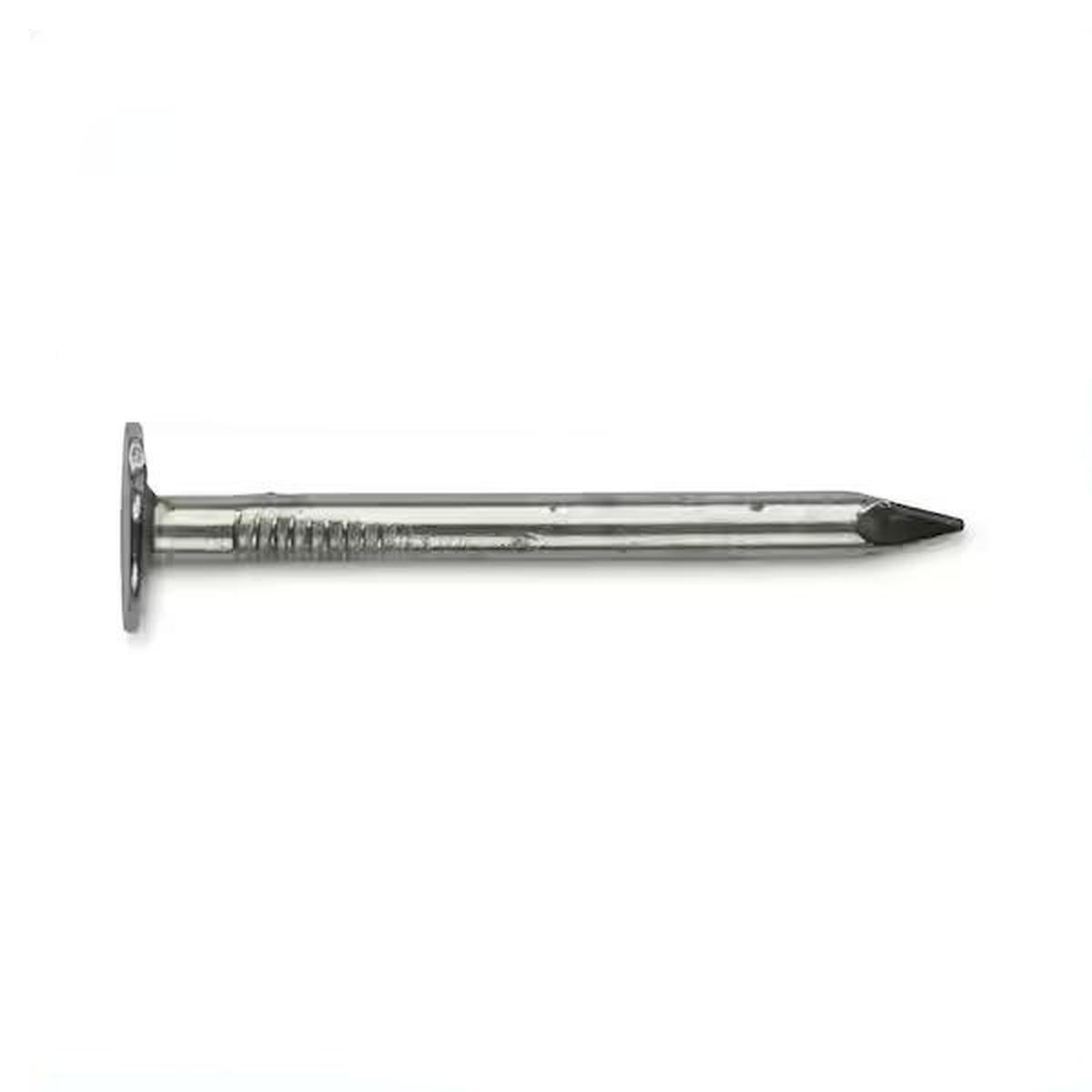 1-1/2-in 11 Gauge Electro Galvanized Roofing Nails 1-Lb Box