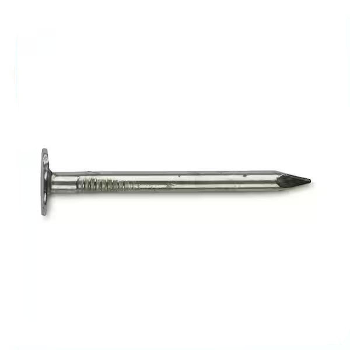 2-in 11 Gauge Electro Galvanized Roofing Nails 1-Lb Box