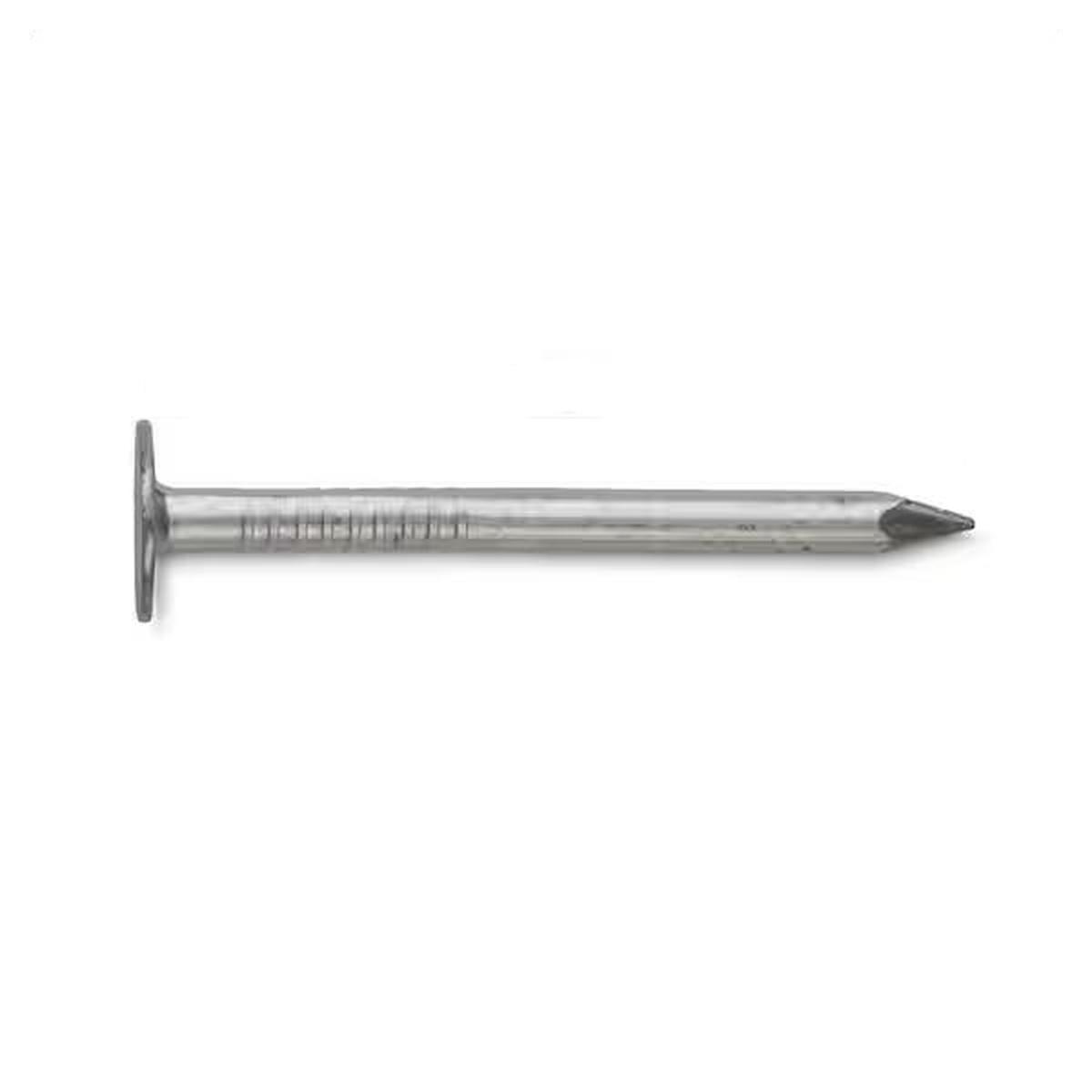 2-in 6D Aluminum Siding Nails Smooth Shank 1-Lb
