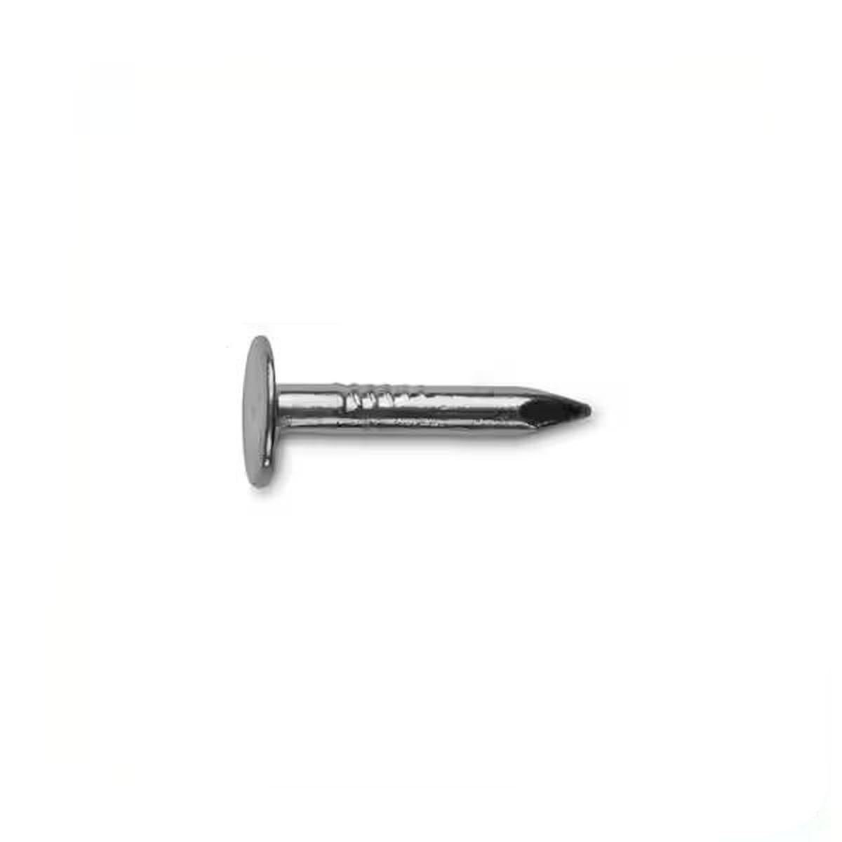 1-in Electro Galvanized Roofing Nails 5-Lb